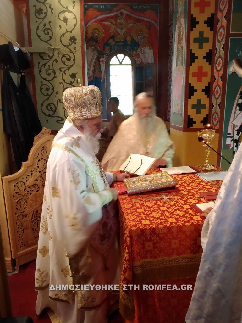 neomartiras samarina 1
