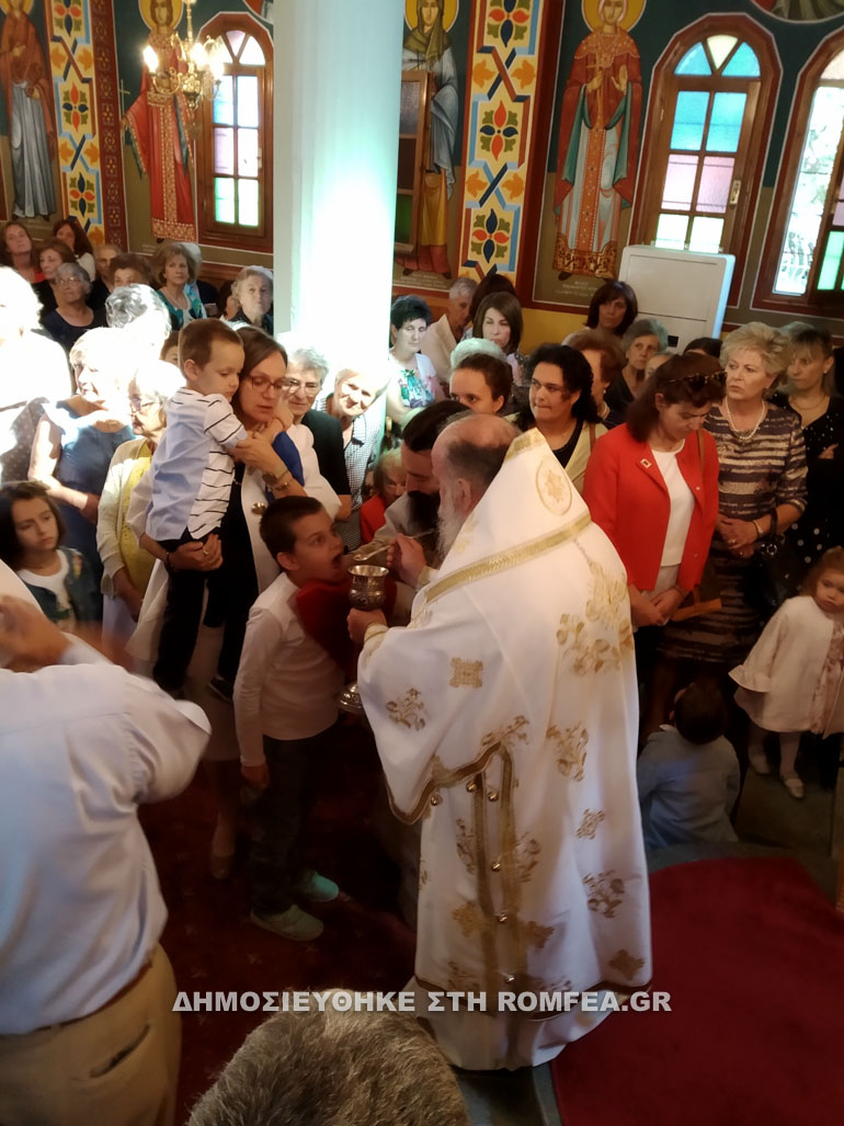 neomartiras samarina 1