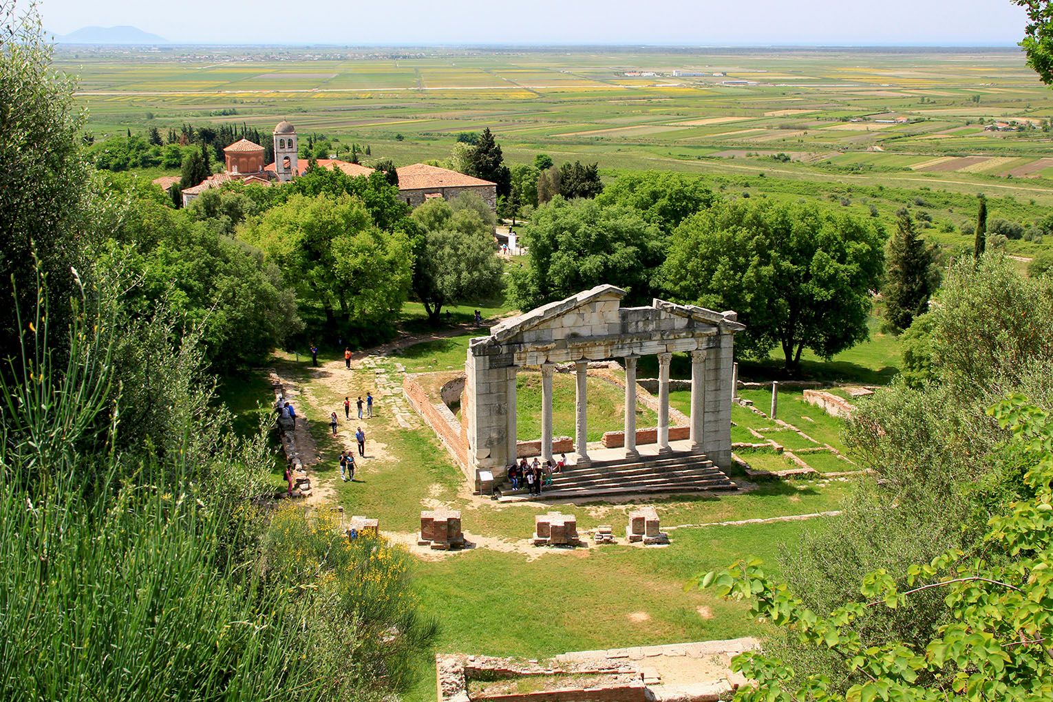 appolonia4