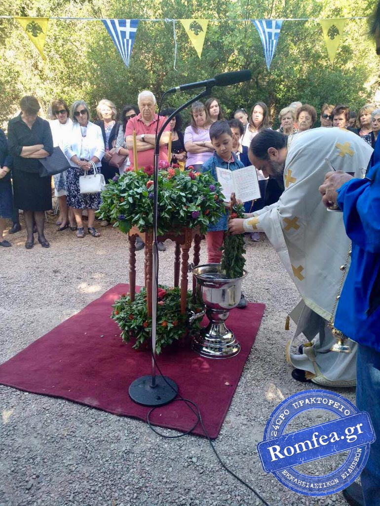 ipsosi afidnes 1