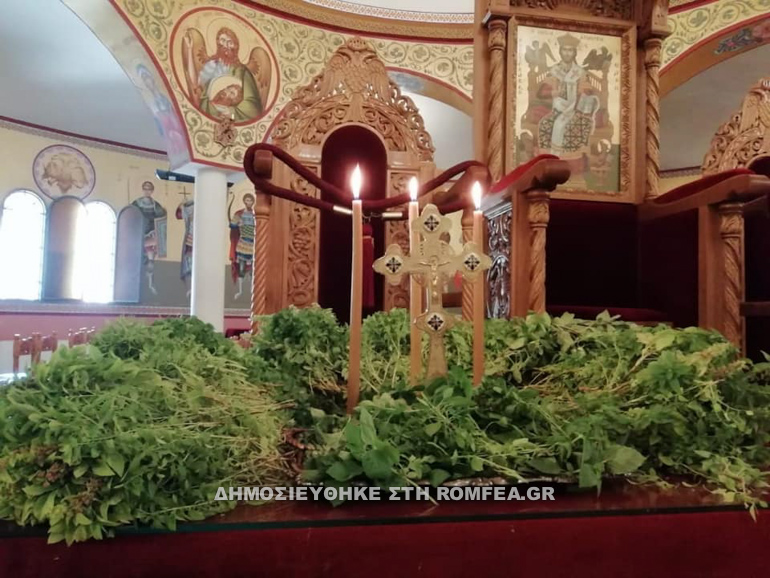 ipsosi albania 1