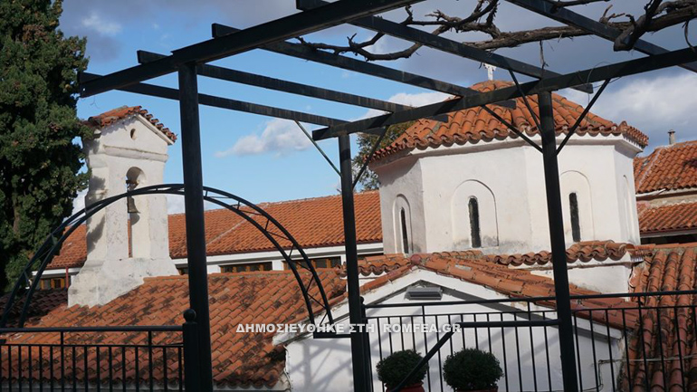 lazari 26