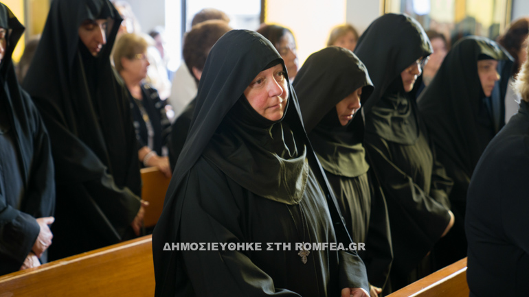 ag dionisios mangrove 1