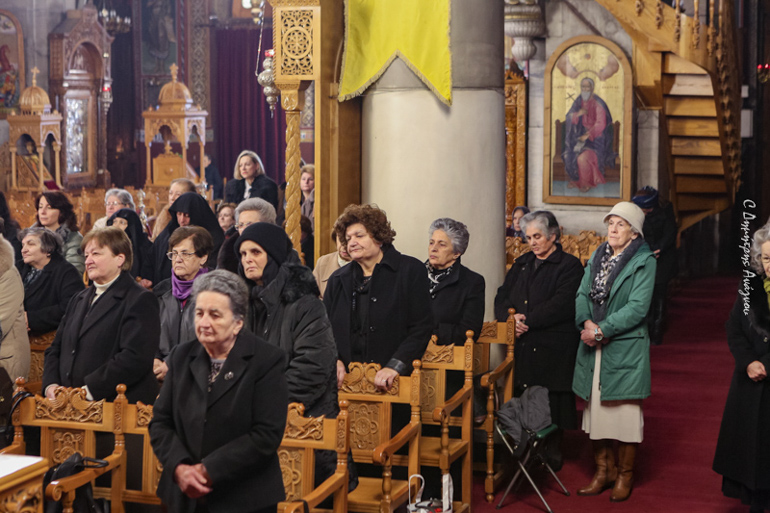 ftiotidos mnimosyno 10