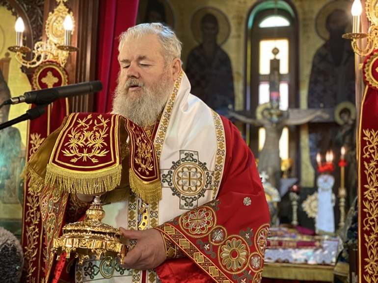 sillitoyrgo lentariana 2