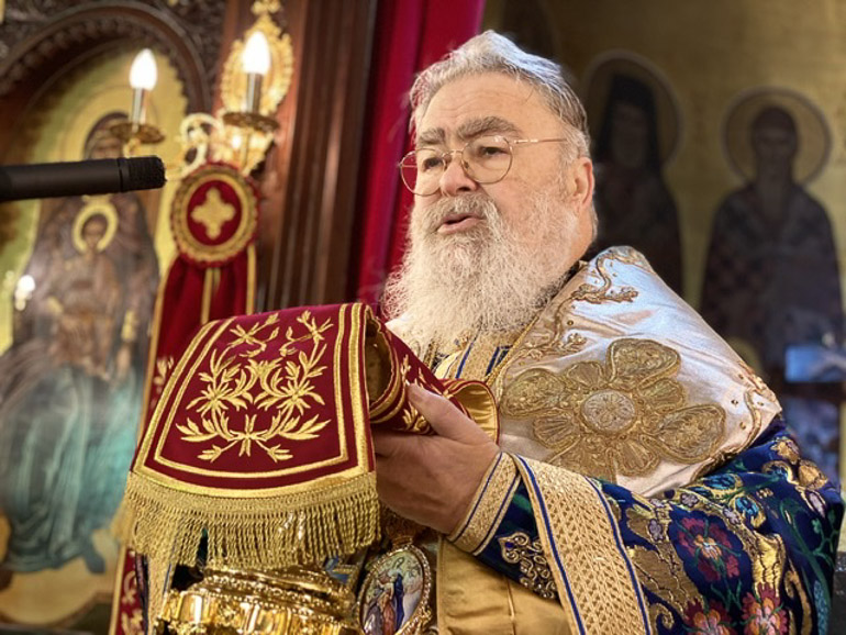 sillitoyrgo lentariana 2