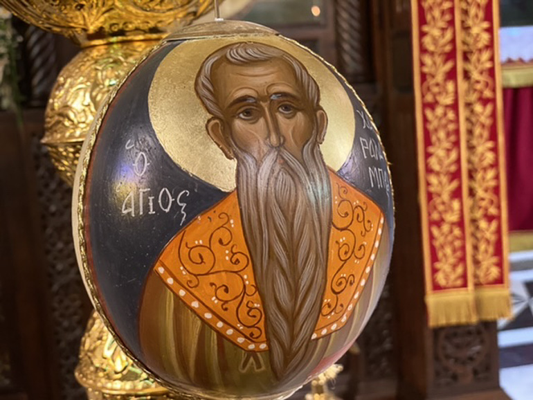 sillitoyrgo lentariana 2
