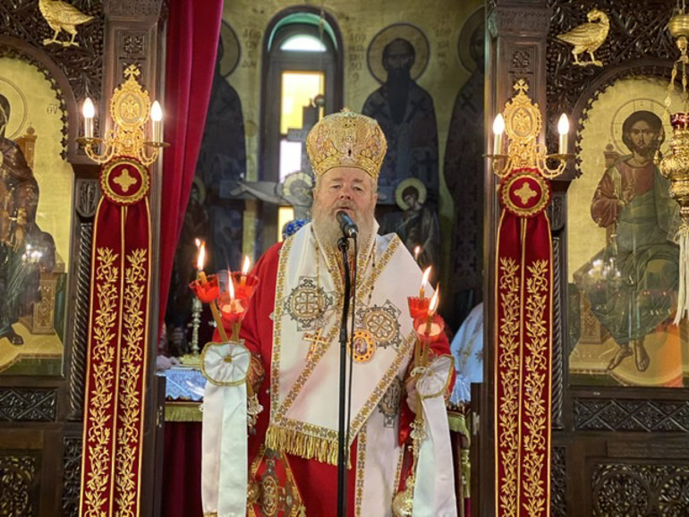 sillitoyrgo lentariana 2