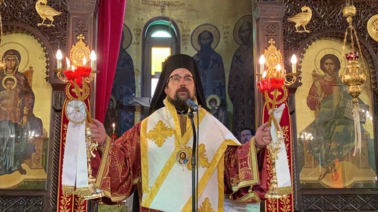 sillitoyrgo lentariana 2