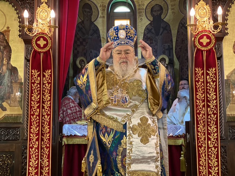 sillitoyrgo lentariana 2