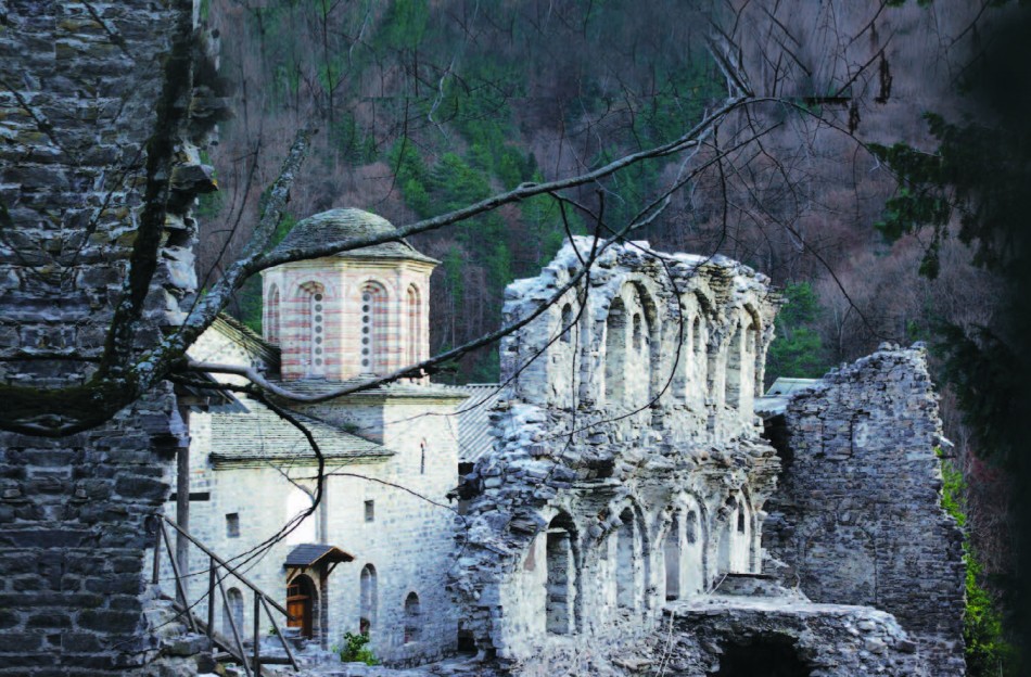 stavropigia