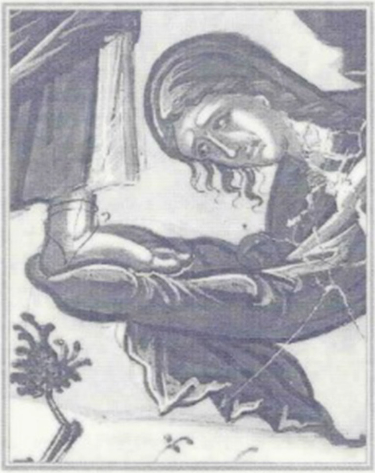 mtetarti 1