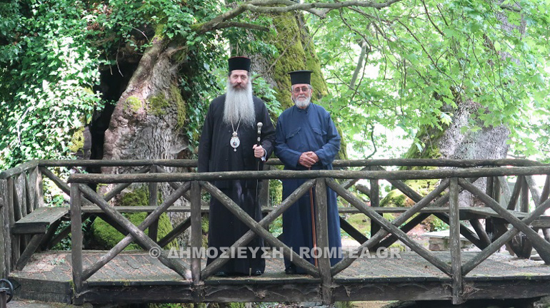 fthiotidos domokos 1