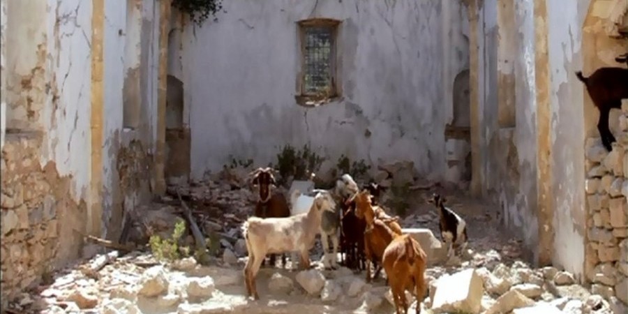 lapithos