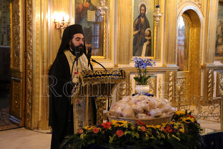 metheortos pilaia 15