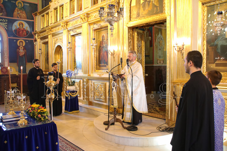 metheortos pilaia 1