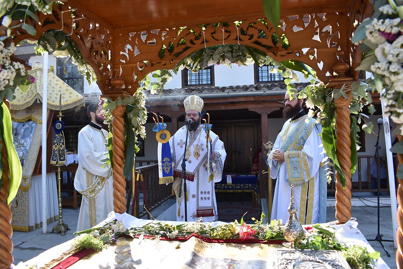 koimisi maronias