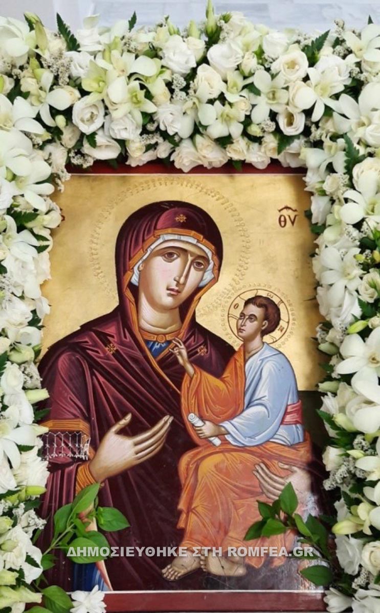 plimiropliktes enories 2