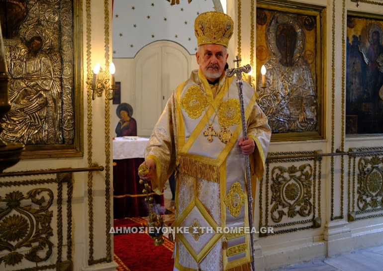 gallias polli 5