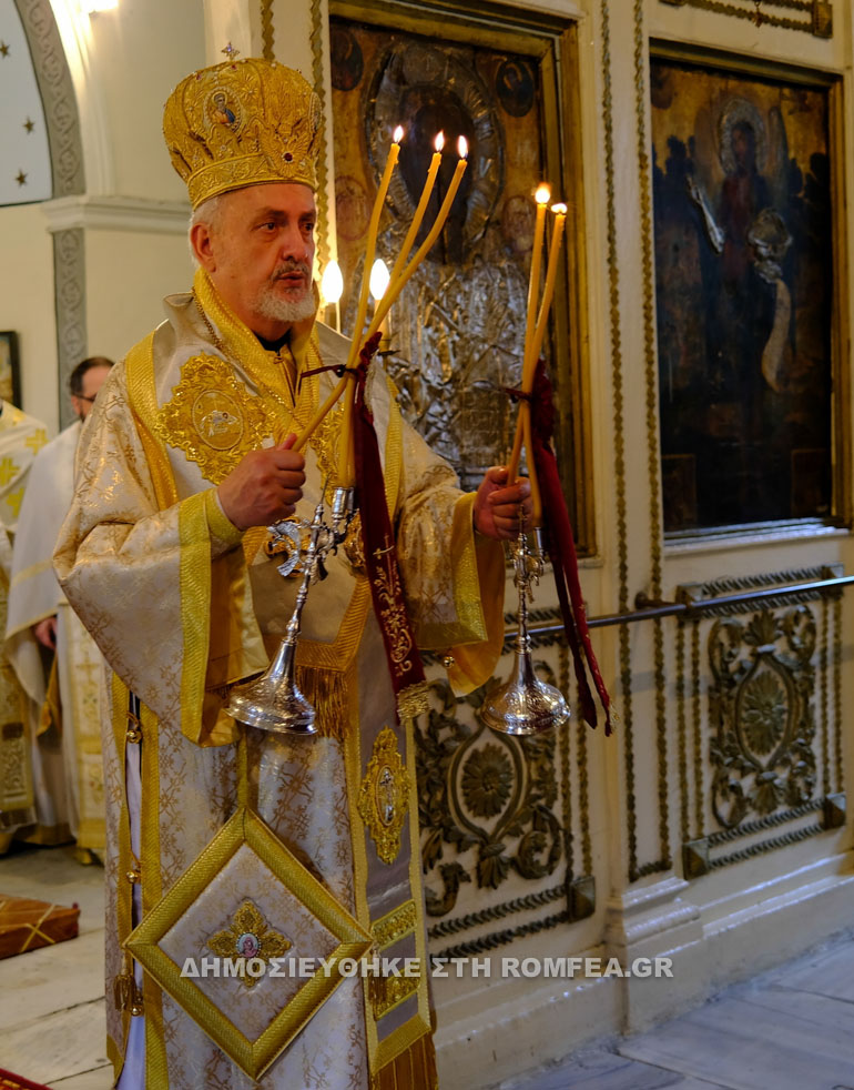 gallias polli 1