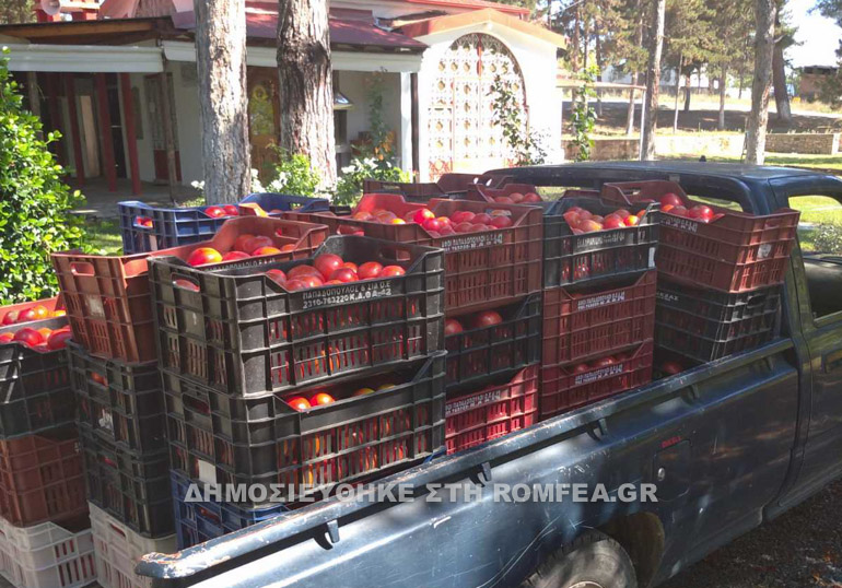 kitrous ntomates 1