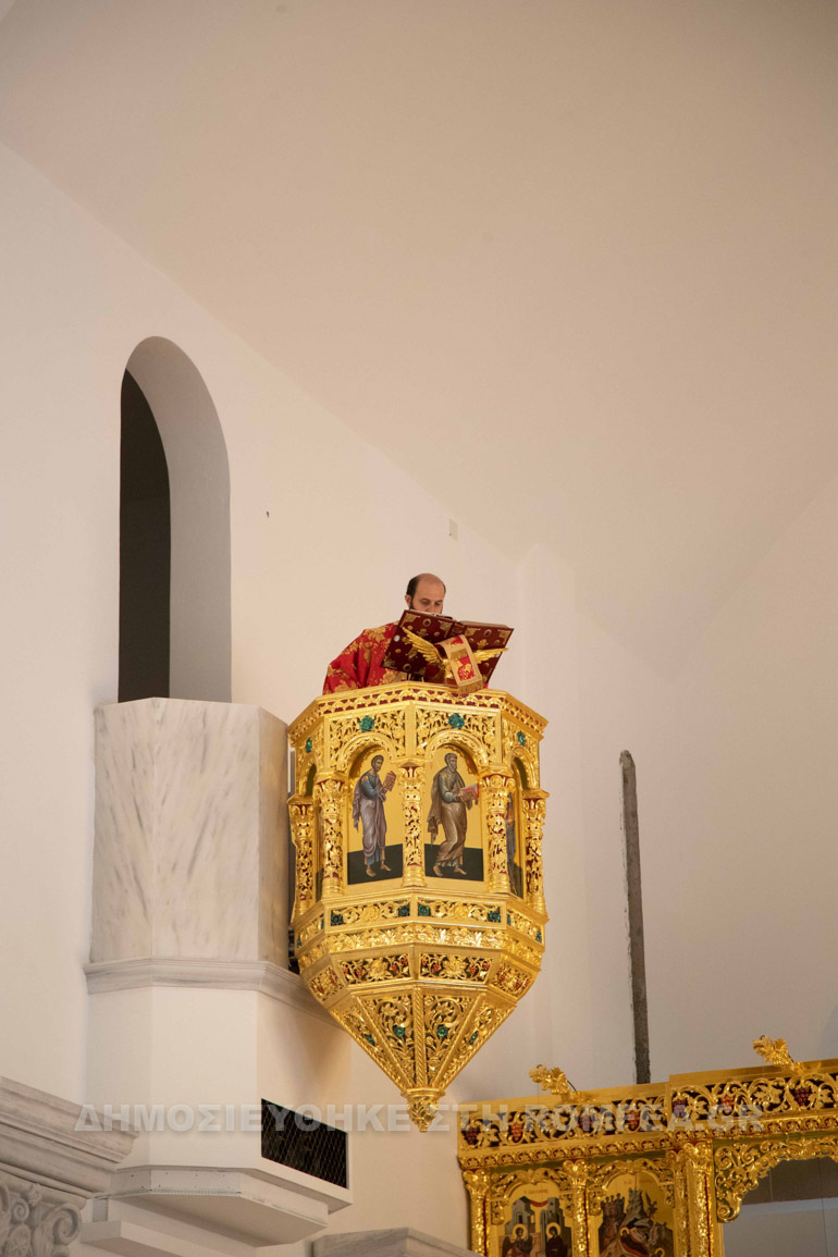 anasta theos lef 1