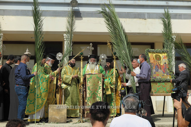 morfou peristerona 12