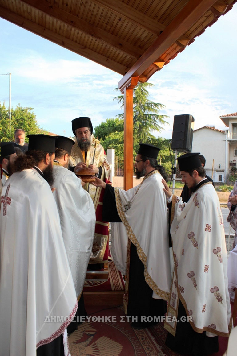 serron nigrita 1