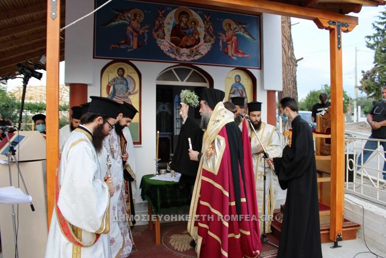 serron nigrita 1