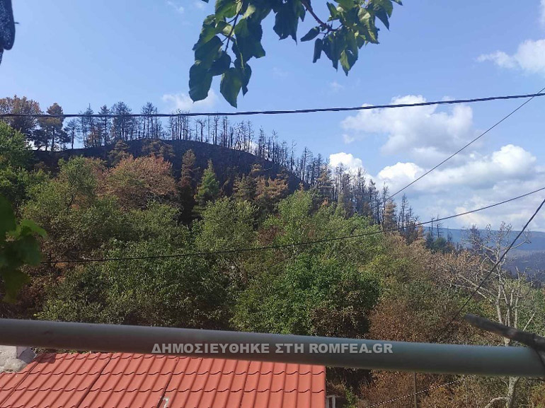 xalkidos piroplikta 1