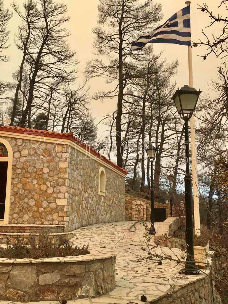 koimisi afidnes 1