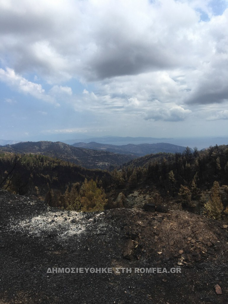 xronia xalkidos 1