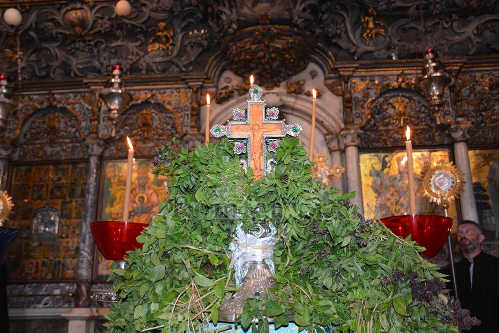 ipsopsi tinos 28