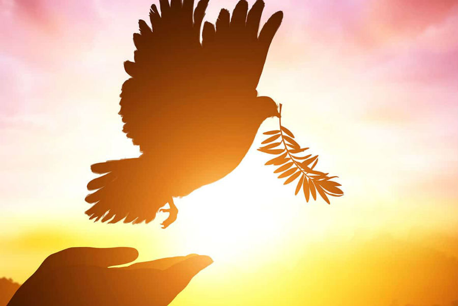 peace