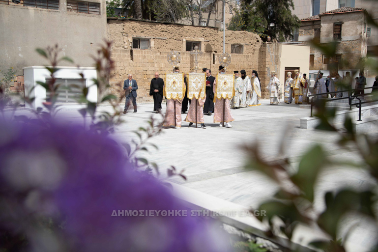 agapis lefkosia 1