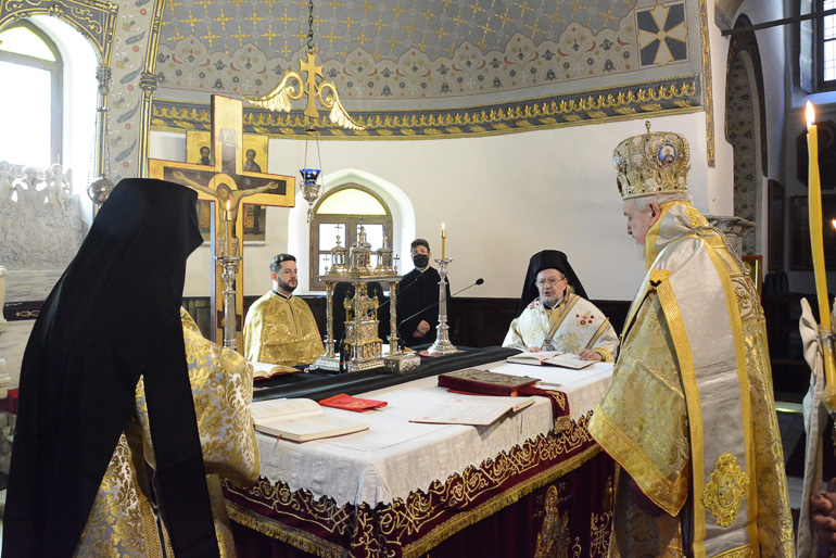 mnimosino sinodino 1