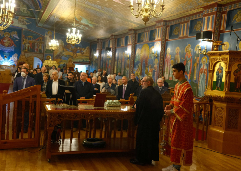 mnimosino birgham 1
