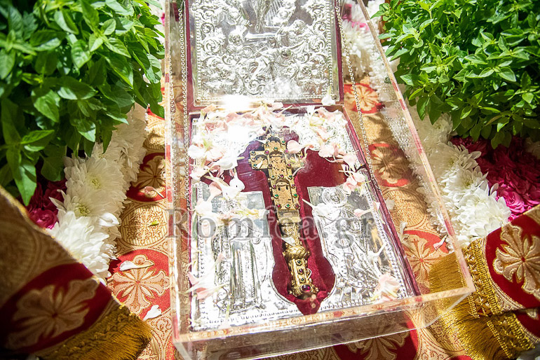 timioxilo fotios 1
