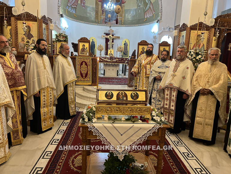 ypodoxi kounoupidiana 1