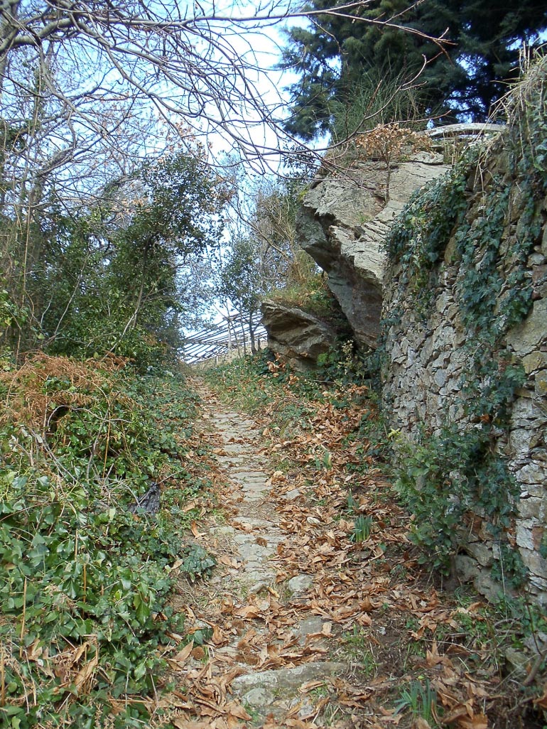 agios paisios 1