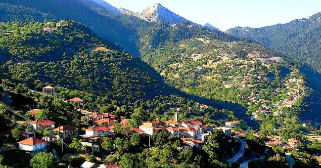 lampeia divri