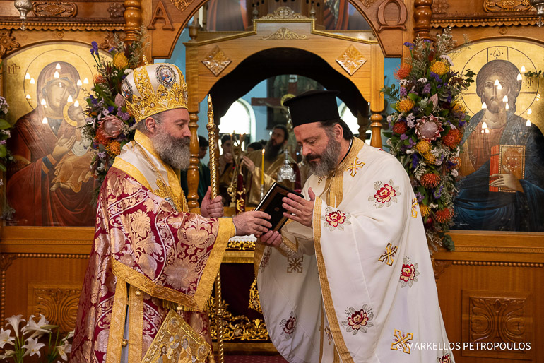 samareitiki auis 7