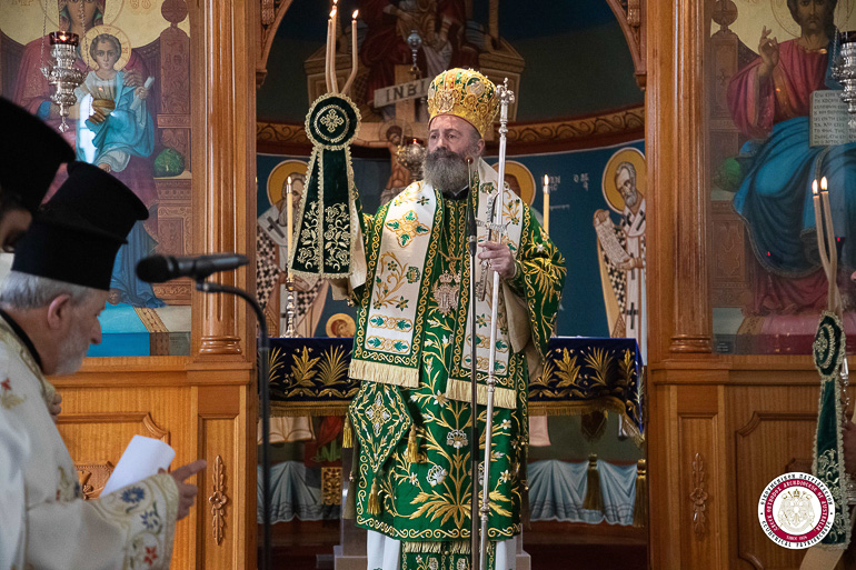 australias patriarxis 1