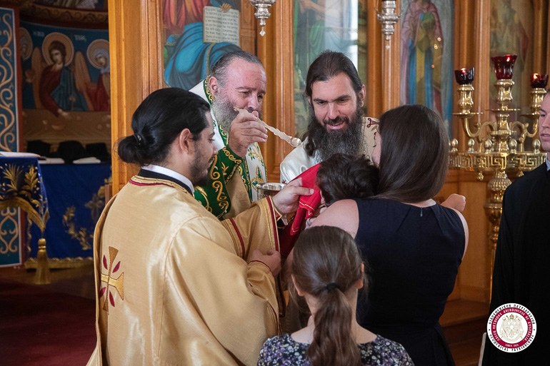 australias patriarxis 1
