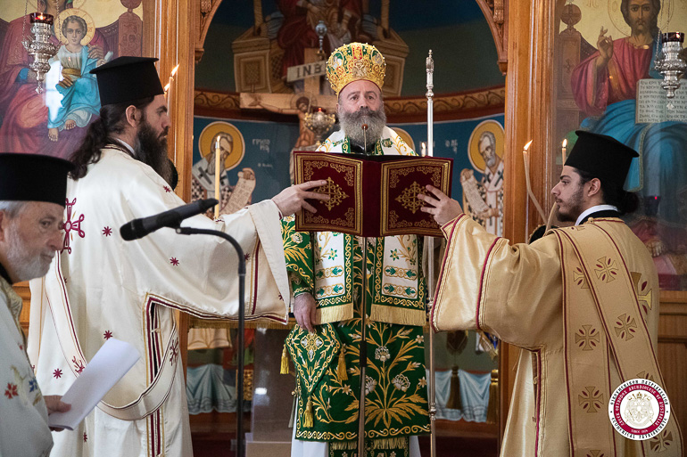 australias patriarxis 7