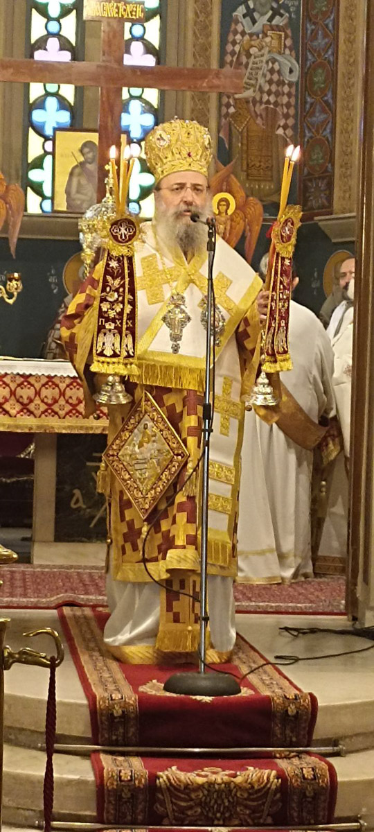 patron amartia 2