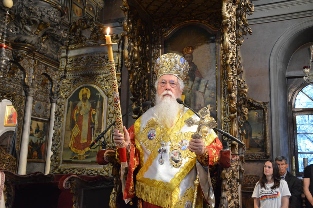 tinos zoodoxos pigi 18
