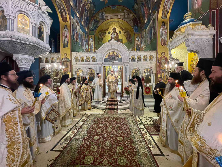 agapis nionia 15
