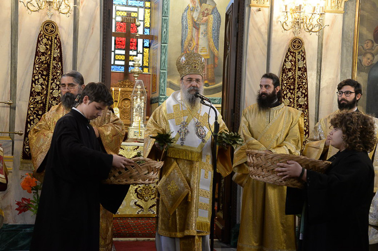 proti anastasi patra 1