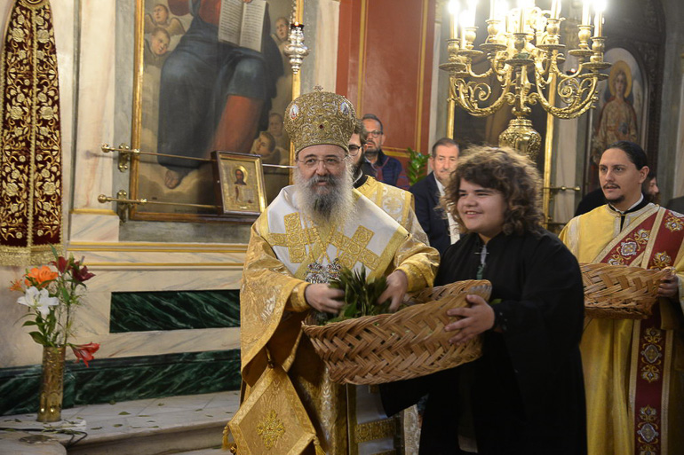 proti anastasi patra 7